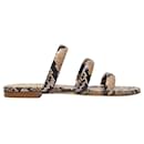 Chrissy Sandals in Natural Snake Print Leather - Aeyde