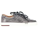 Berluti Scritto Calligraphy Sneakers in Grey Leather