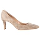 Gianvito Rossi Pointed Toe Pumps in Beige Suede