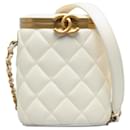 Chanel White Small Quilted Lambskin Crown Box Bag