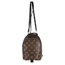 Louis Vuitton Monogram Canvas Mini Palm Springs