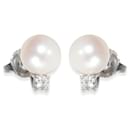 TIFFANY & CO. Boucles d'oreilles à tige avec perles signature 18K or blanc - Tiffany & Co