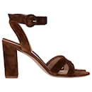 Gianvito Rossi Ankle Strap Sandals in Brown Suede