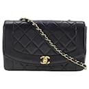 Diana Flap Crossbody Bag - Chanel