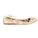 Etro Embroidered Ballet Flats in Champagne Silk