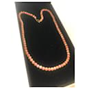 Gold and pink coral necklace - Autre Marque