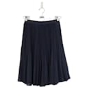 Blue Skirt - Lanvin