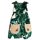 Dolce & Gabbana Banana Leaf Dress