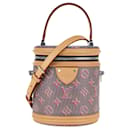 Louis Vuitton Damier/Bolso Cannes Lv Pop con monograma