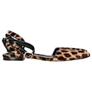 Alexander Wang Chaussures plates Lara à imprimé léopard et brides de cheville d'Orsay en poil de veau marron