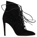 Gianvito Rossi Lace-Up Heeled Boots in Black Suede