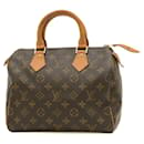 Louis Vuitton Speedy 25