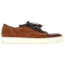 Lanvin DBB1 Trainers in Brown Suede and Leather