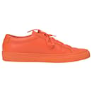 Common Projects – Achilles Low-Sneaker aus orangefarbenem Leder - Autre Marque