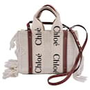 Chloé Small Woody Knit Fringe Tote Bag in White Recycled Cotton