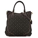 Louis Vuitton Besace