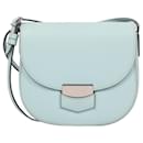 CELINE Baby Grained calf leather Small Trotteur in Light Turquoise - Céline
