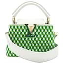 Louis Vuitton Mini Capucines Taurillon Brodé Blanc