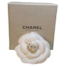 Camellia - Chanel