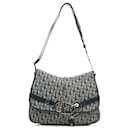 Gray Dior Oblique Crossbody Bag