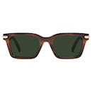 Radiant Acetate Sunglasses - Berluti