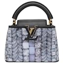 Louis Vuitton Mini Capucines de lantejoulas azuis