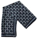 Dior Abstract Pattern Scarf