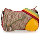 Dior Brown Oblique Canvas Rasta Double Saddle