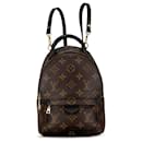 Mini Palm Springs Monogram Marron Louis Vuitton