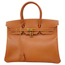 Hermès Birkin 35