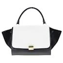 Celine Trapeze Medium 2Way Bag Leather Handbag 1695430TA in Very Good Condition - Céline