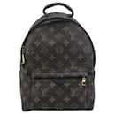 Mochila Palm Springs PM Monograma Louis Vuitton marrom