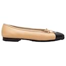 Bailarinas Chanel de punta cap toe en color marrón y negro, talla 38