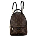 Mochila Mini Palm Springs Monograma Louis Vuitton marrom