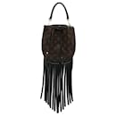 Brown Louis Vuitton Monogram Fringed Noe Bucket Bag