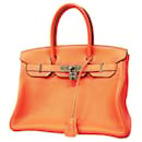 Hermes Birkin 30 Handbag in Crevette - Hermès