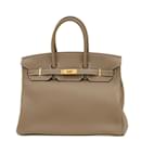 Hermes Birkin 35 Handbag in Togo Etoupe Gray - Hermès