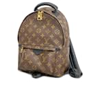 Louis Vuitton Monogram Palm Springs PM Backpack