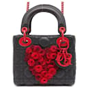 Bolsa de Ombro 2 em 1 Lady Cannage da Christian Dior