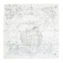 Hermes Carre 90 Scarf in Black and White - Hermès