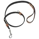 Celine Triomphe Dog Lead in Tan Brown - Céline