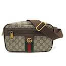 Gucci Ophidia GG Belt Bag