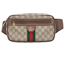 Riñonera Gucci GG Ophidia Supreme