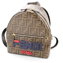 Fendi Fila Collaboration Brown Backpack