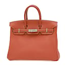 Hermes Birkin 25 Handbag in Togo Sanguine - Hermès