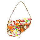 Bolso Saddle Multicolor Christian Dior