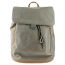 Louis Vuitton Pioneer Backpack in Sable