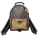 Louis Vuitton Monogram Reverse Palm Springs Backpack PM