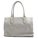 Fendi Handbag Selleria Leather in Metallic Gray