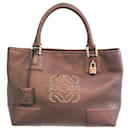 Loewe Women's Leather Handbag in Metallic Brown